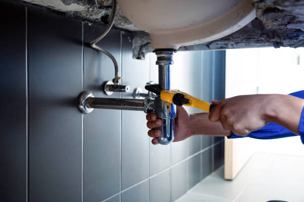 Best Garbage Disposal Repair and Installation  in South Henderson, NC